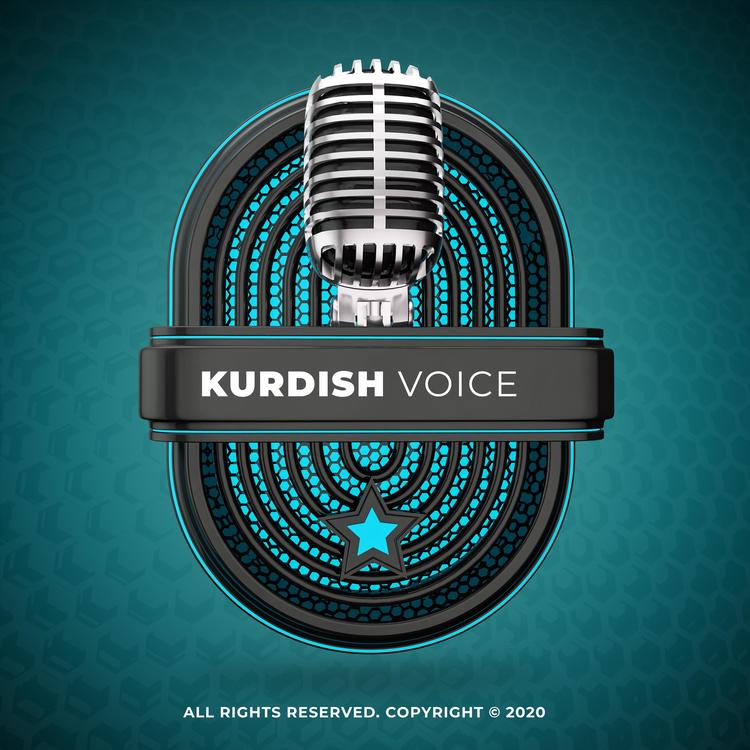 Kurdish Voice's avatar image