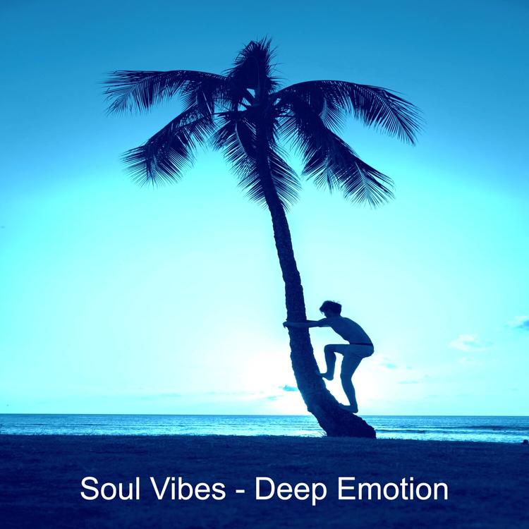 Soul Vibes's avatar image