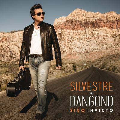 Niégame Tres Veces By Silvestre Dangond's cover