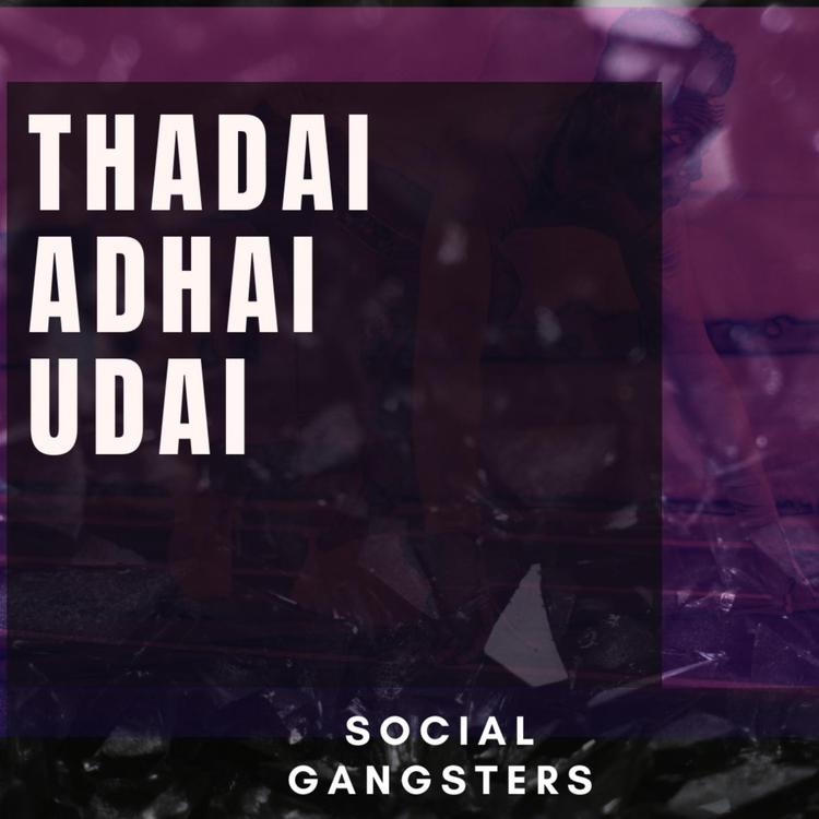 Social Gangsters's avatar image