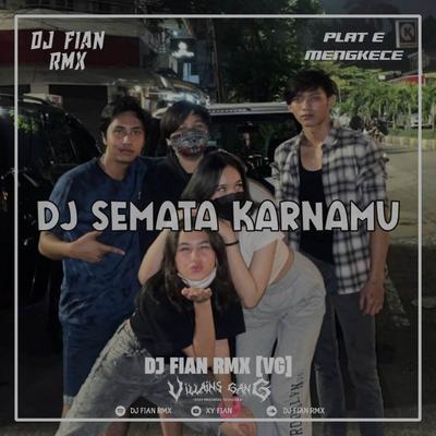 DJ SEMATA KARNAMU V2's cover