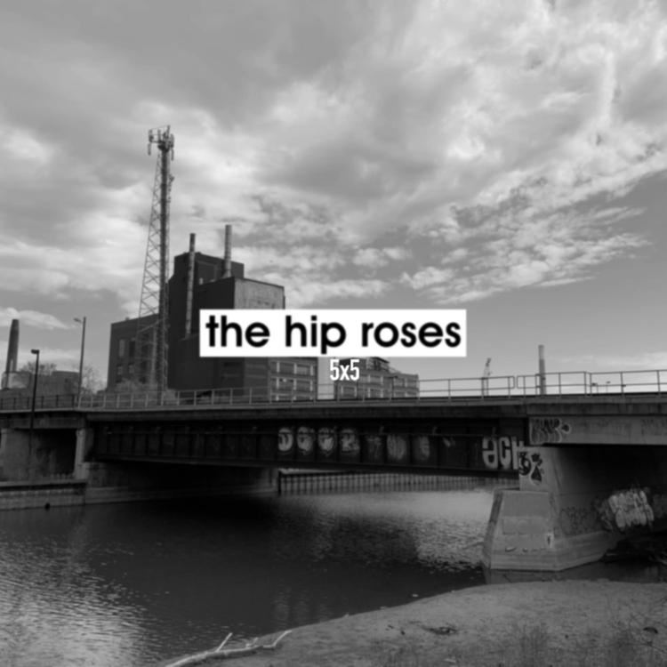 The Hip Roses's avatar image