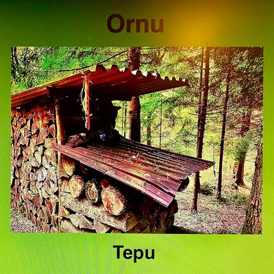 Tepu's cover