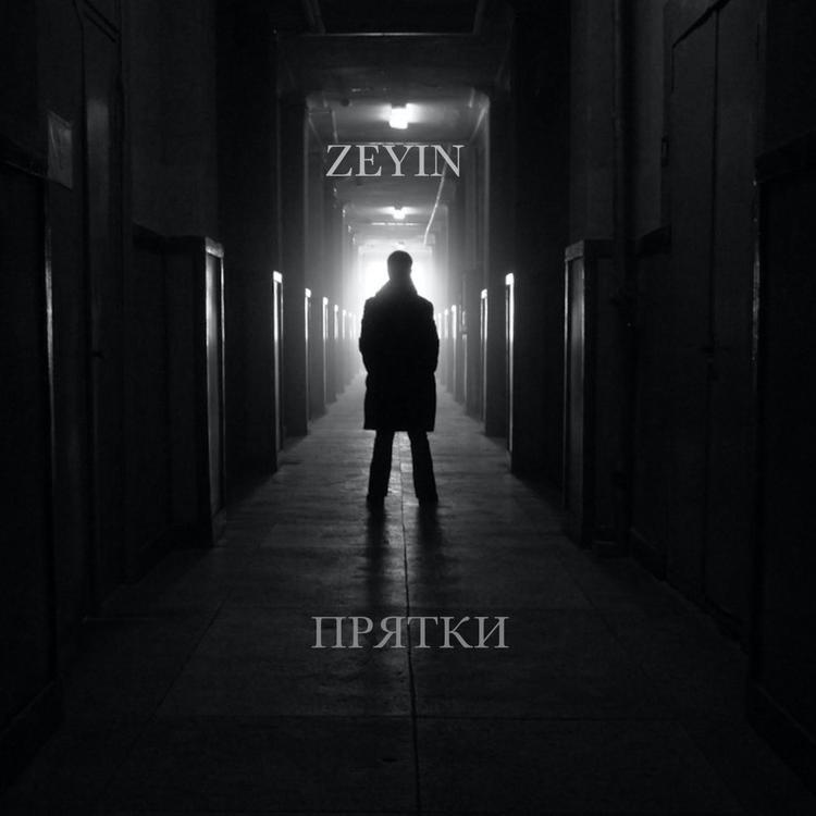 ZEYIN's avatar image