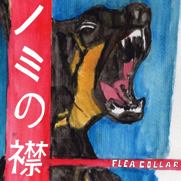 Flea Collar's avatar image