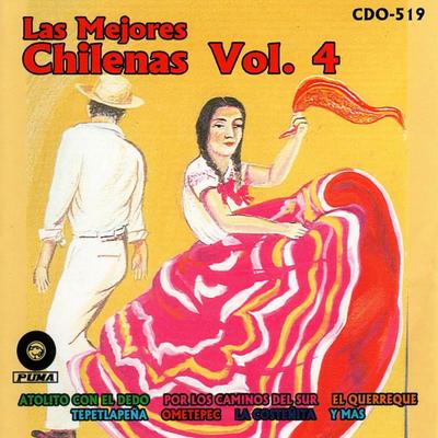 Ometepec By La Furia Oaxaqueña's cover