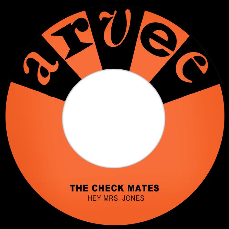 The Check Mates's avatar image