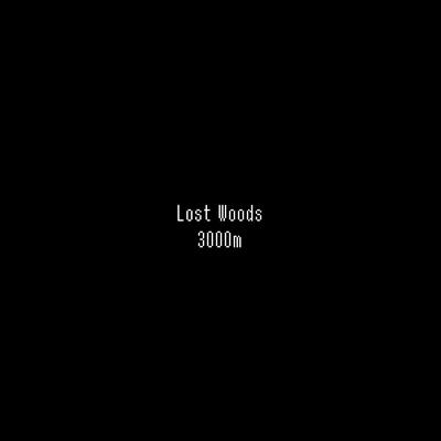 Lost Woods By 3000m's cover