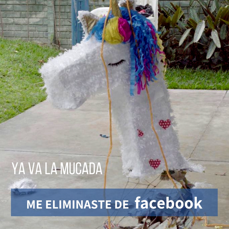 Ya Va La Mucada's avatar image