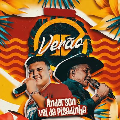 Senta no Fazendeiro By Anderson & Vei da Pisadinha, Vei da Pisadinha's cover