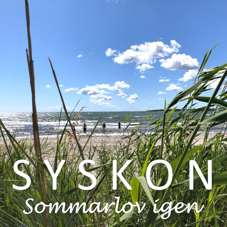 Syskon's avatar image