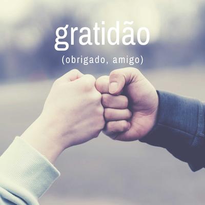 Gratidão (Obrigado, Amigo) By Anima Mea's cover