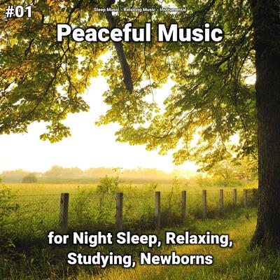 Singular Relaxing Music By Instrumental, Relaxing music, Sleep Music's cover