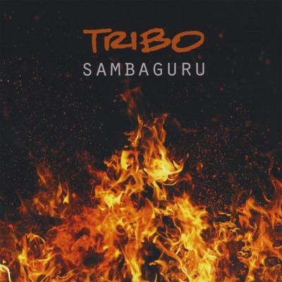 Fogo de Palha By Sambaguru's cover