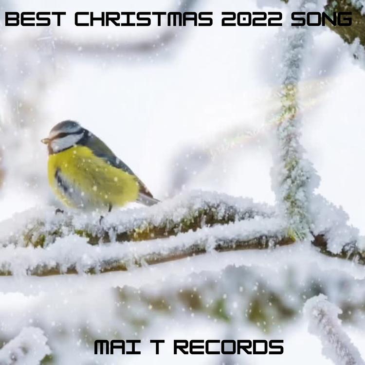 MAI T Records's avatar image