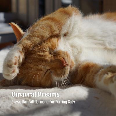 Binaural Dreams: Glassy Rainfall Harmony for Purring Cats's cover
