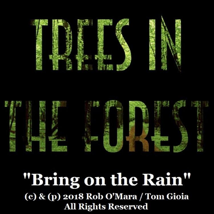 Trees in the Forest's avatar image