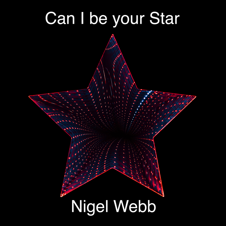 Nigel Webb's avatar image