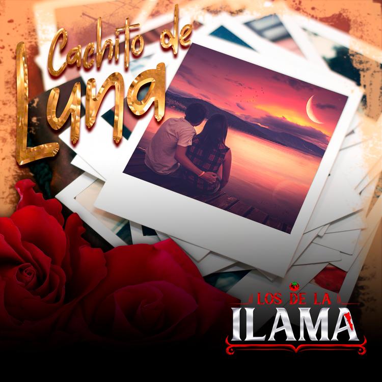 Los de la Ilama's avatar image