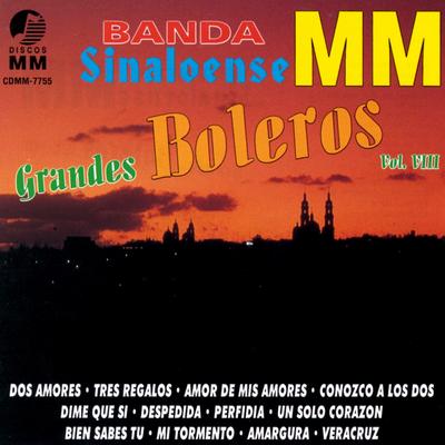 Grandes Boleros, Vol. 8's cover