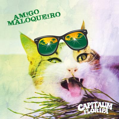 Amigo Maloqueiro's cover