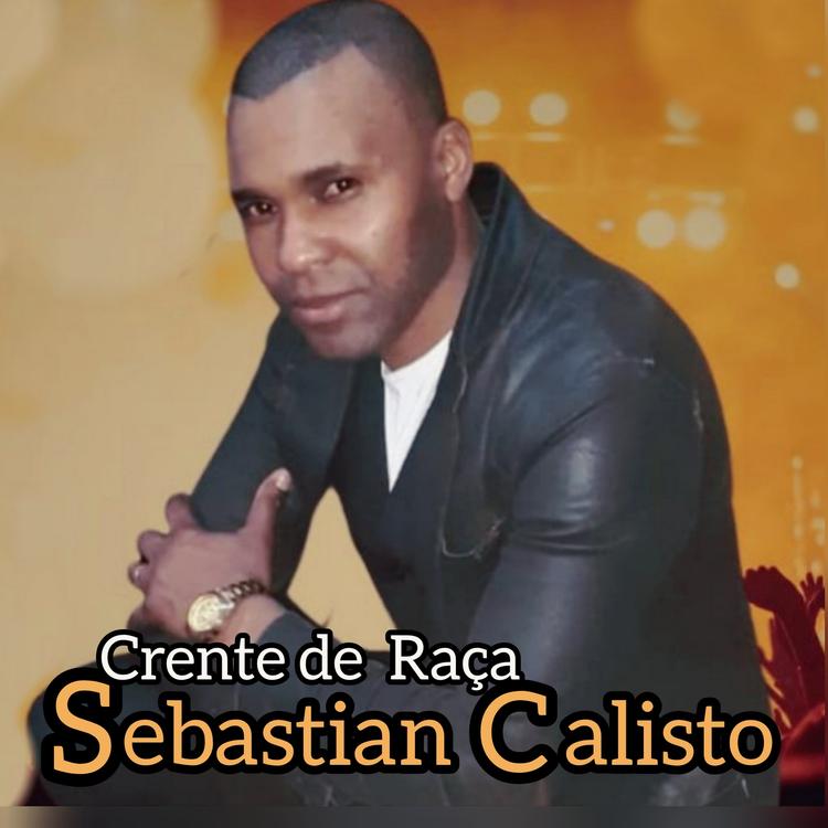 Sebastian Calisto's avatar image