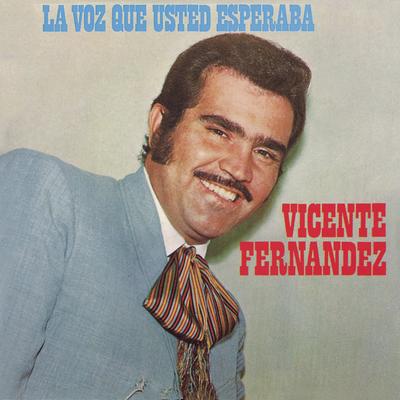 Y Nuestro Cariño Que By Vicente Fernández's cover