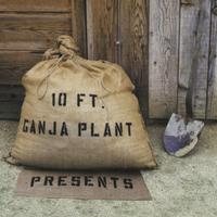 10ft Ganga Plant's avatar cover