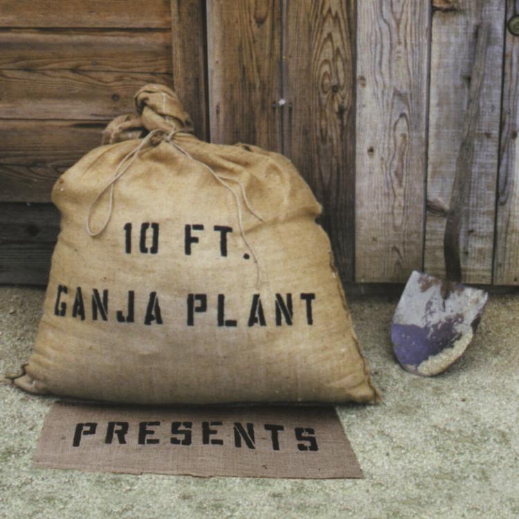 10ft Ganga Plant's avatar image