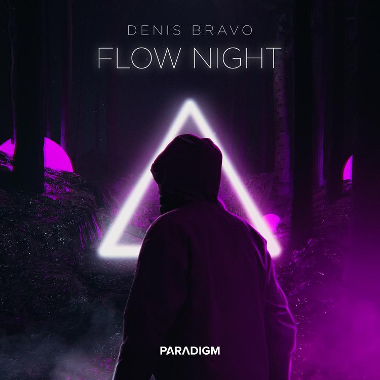 Denis Bravo's avatar image