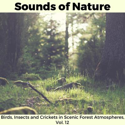 Sounds of Nature - Birds, Insects and Crickets in Scenic Forest Atmospheres, Vol. 12's cover