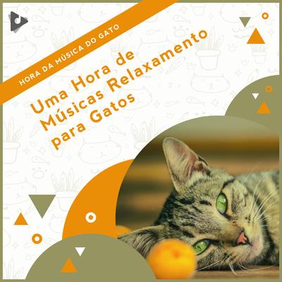 Instrumental macio para gatos By Hora da Música do Gato, Música Relaxante para Gatos, Música de Gatinhos Calmante's cover