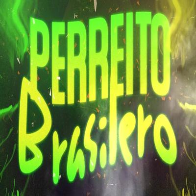 Perreito Brasilero By Mega Perreo Brasileño's cover