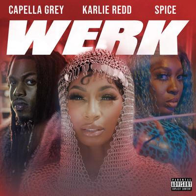 Werk's cover