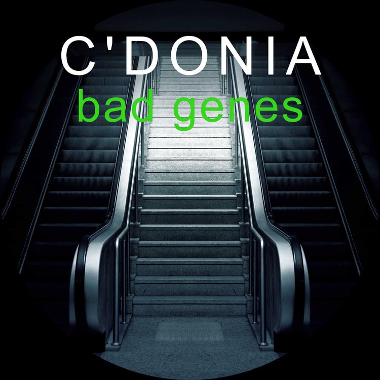 C'DONIA's avatar image