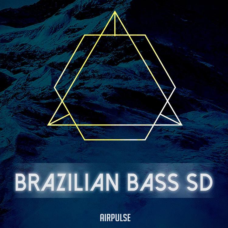 Brazilian Bass SD's avatar image