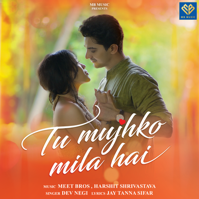 Tu Mujhko Mila Hai's cover