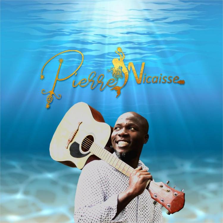 Pierre Nicaisse's avatar image