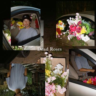 Dead Roses's cover