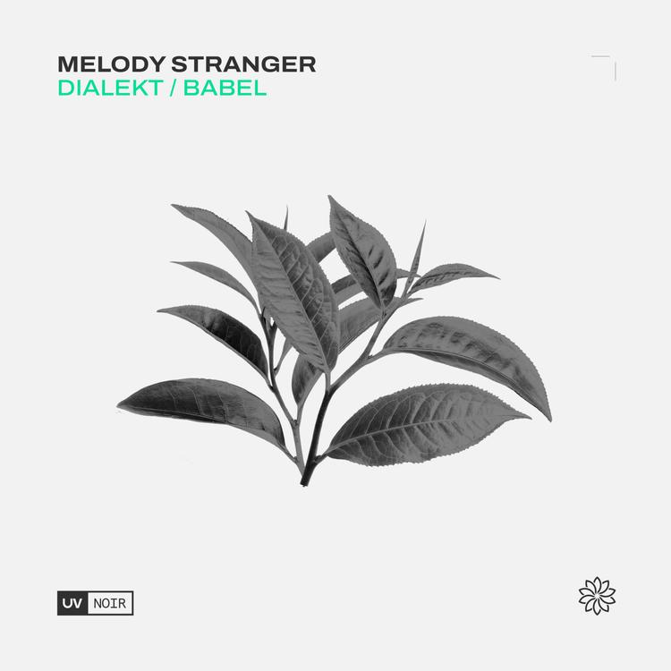 Melody Stranger's avatar image