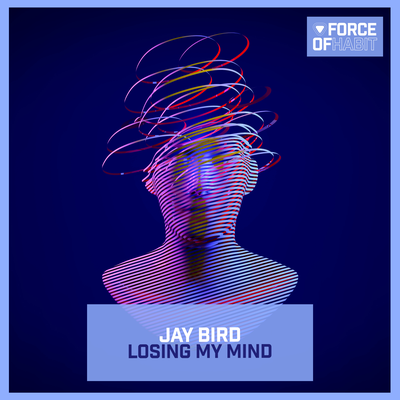 Losing My Mind By Jay Bird's cover