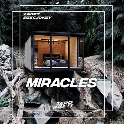 DJ MIRACLES 's cover