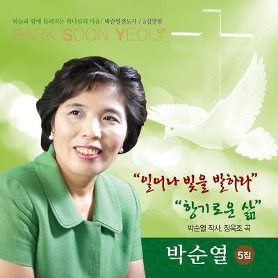 소망의 독수리 되어 (한국복음성가협회 주제곡)'s cover