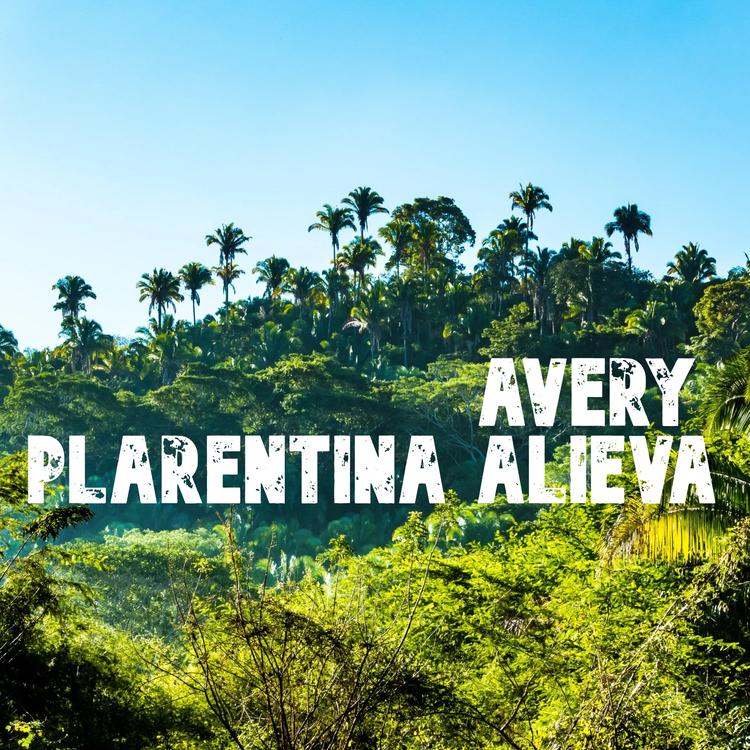 Plarentina Alieva's avatar image