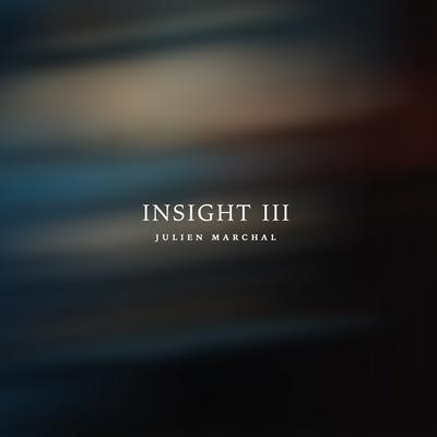 Insight XXX By Julien Marchal's cover