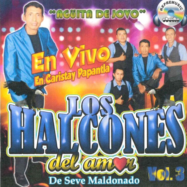 Los Halcones Del Amor's avatar image