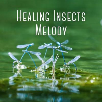 Healing Insects Melody's cover