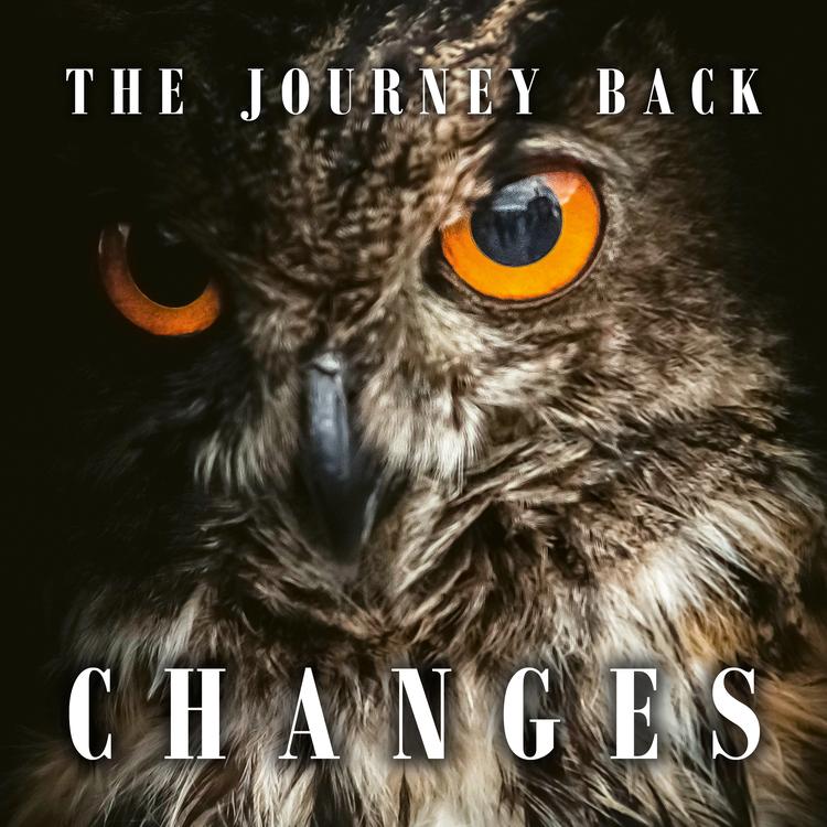 The Journey Back's avatar image