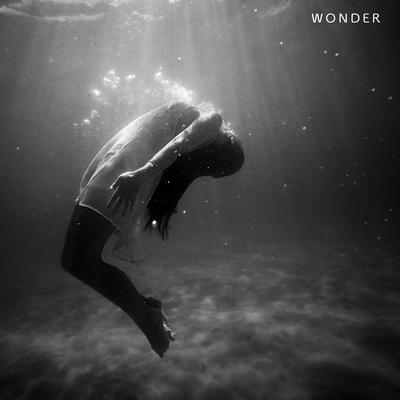 Wonder's cover