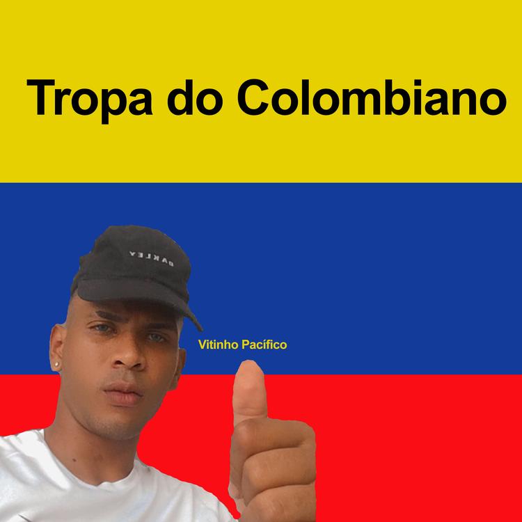 Vitinho Pacífico's avatar image